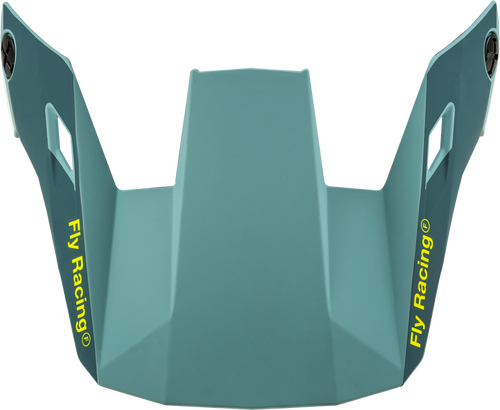 FLY RACING Youth Rayce Helmet Visor (2024)