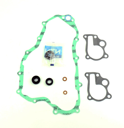 ATHENA Water Pump Repair Kit