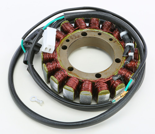 RICK'S MOTORSPORT ELECTRIC Stator