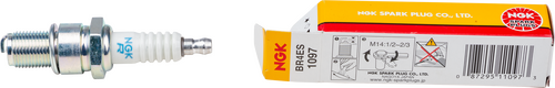 NGK Spark Plug