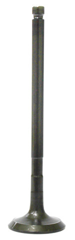 BRONCO Exhaust Valve