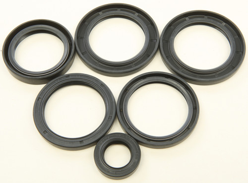 ALL BALLS Differential Seal Kit