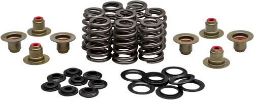 KPMI BEEHIVE VALVE SPRING KIT .550 LIFT  M8`17-24 NON VVT