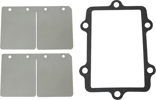 SP1 Reed Valve Rebuild Kit