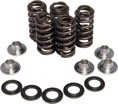 KPMI Racing Valve Spring Kit