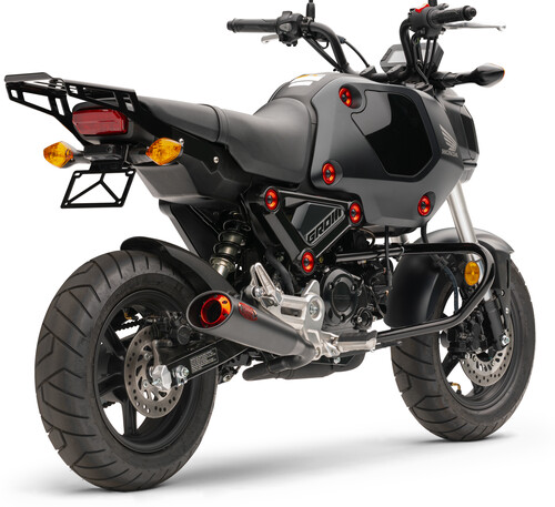 COBRA Solo luggage rack