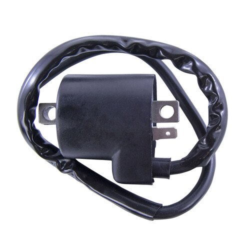 RM STATOR External Ignition Coil