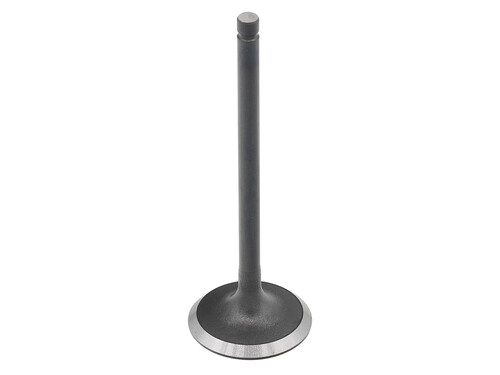BRONCO Intake Valve