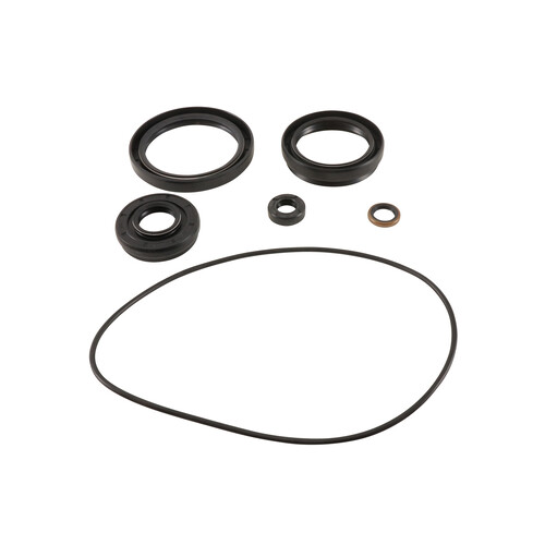 ALL BALLS Differential Seal Kit