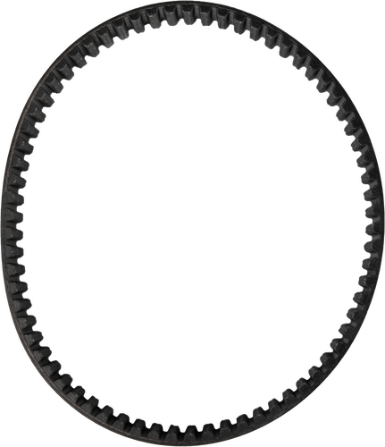 DAYCO Dayco Belt Drives