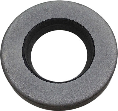 SP1 Chaincase Oil Seal