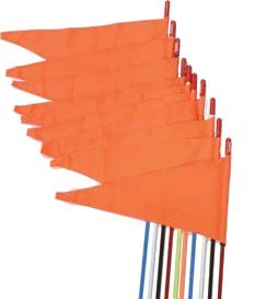 FIRESTIK Firestik Flag Pennant