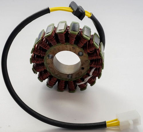 RICK'S MOTORSPORT ELECTRIC Stator