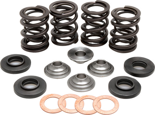 KPMI Racing Valve Spring Kit
