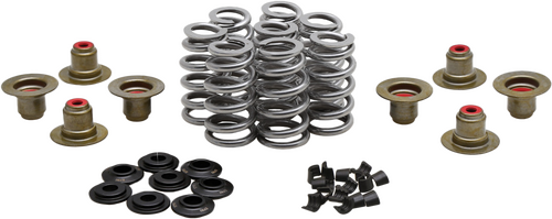 KPMI BEEHIVE VALVE SPRING KIT .640 LIFT  M8`17-24 NON VVT