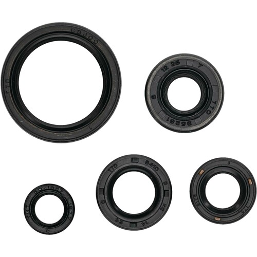 VERTEX Oil Seal Set