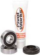 PIVOT WORKS Wheel Bearing & Seal Kit
