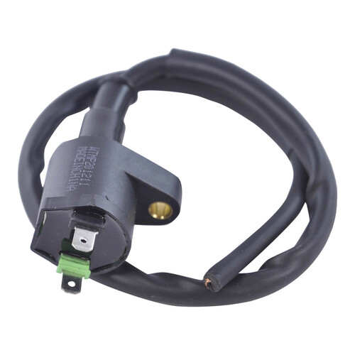 RM STATOR External Ignition Coils