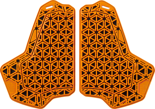 D30 GHOST PROTECTOR CHEST