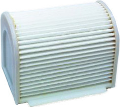 HIFLOFILTRO Air Filter