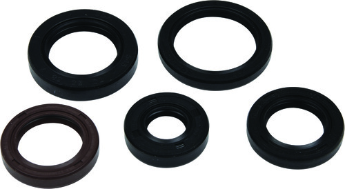VERTEX Oil Seal Set