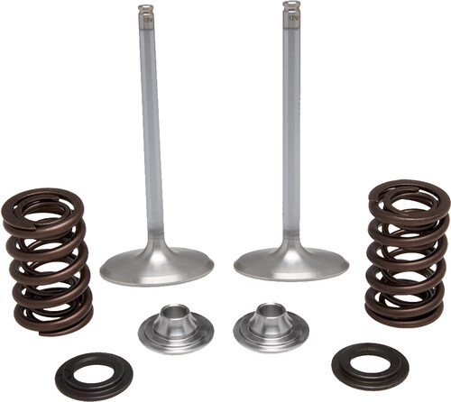 KPMI Intake Valve Spring Kit