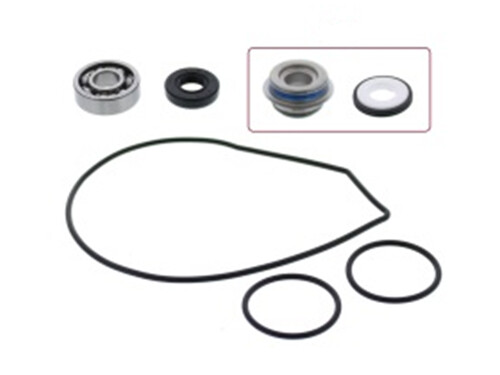 SP1 WATER PUMP REPAIR KIT YAM