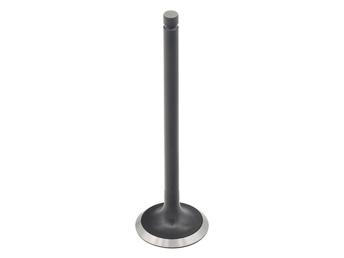 BRONCO Exhaust Valve