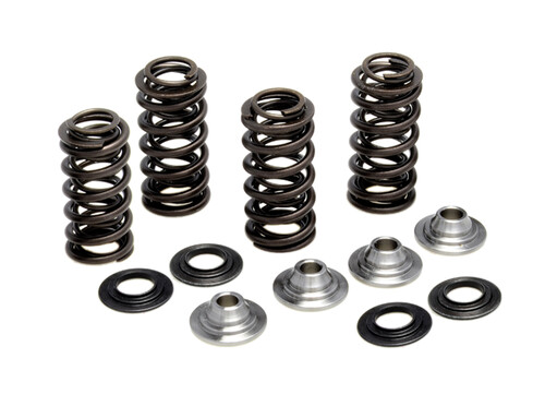 KPMI Racing Valve Spring Kit