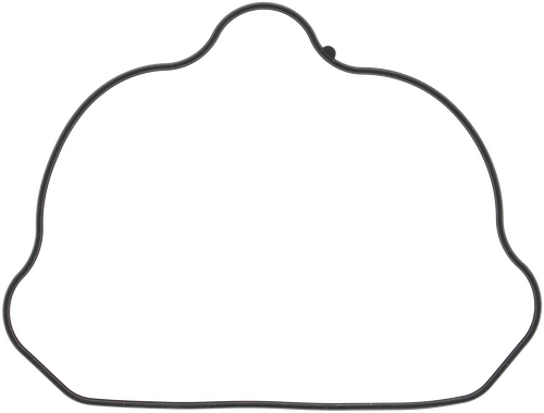 VALVE COVER GASKET POL