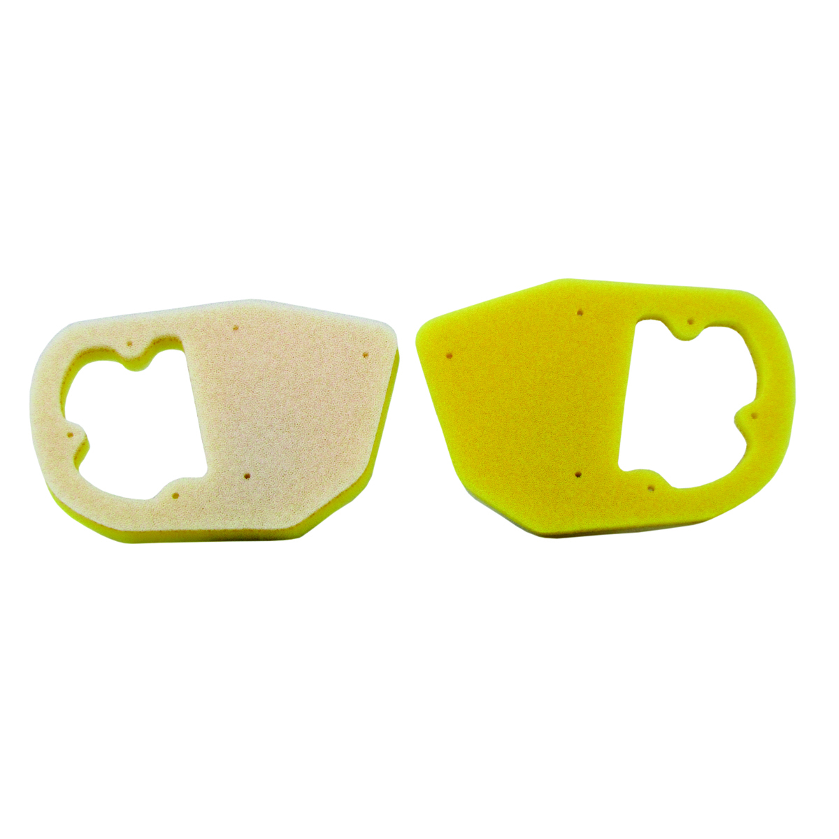 Dual Stage Foam Air Filters