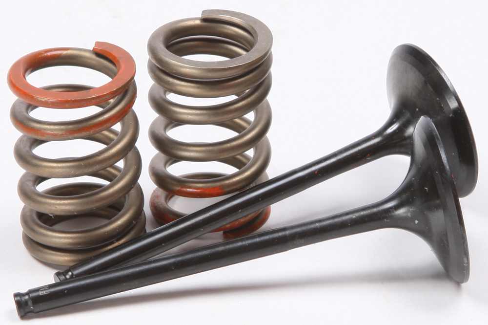 Steel Intake Spring Kit