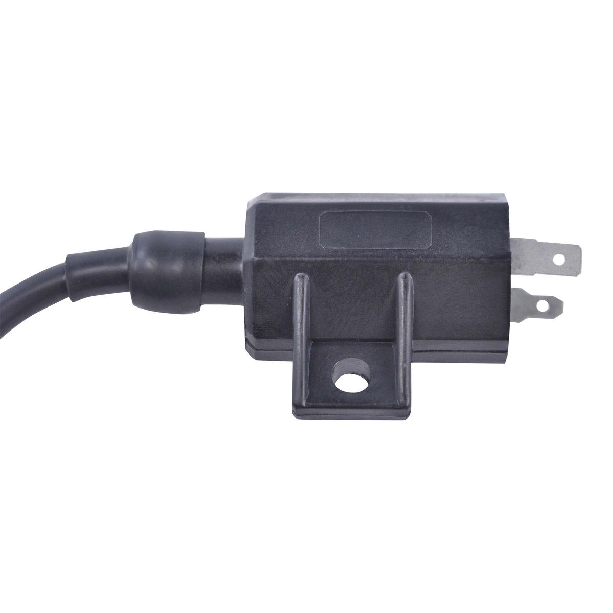 External Ignition Coils