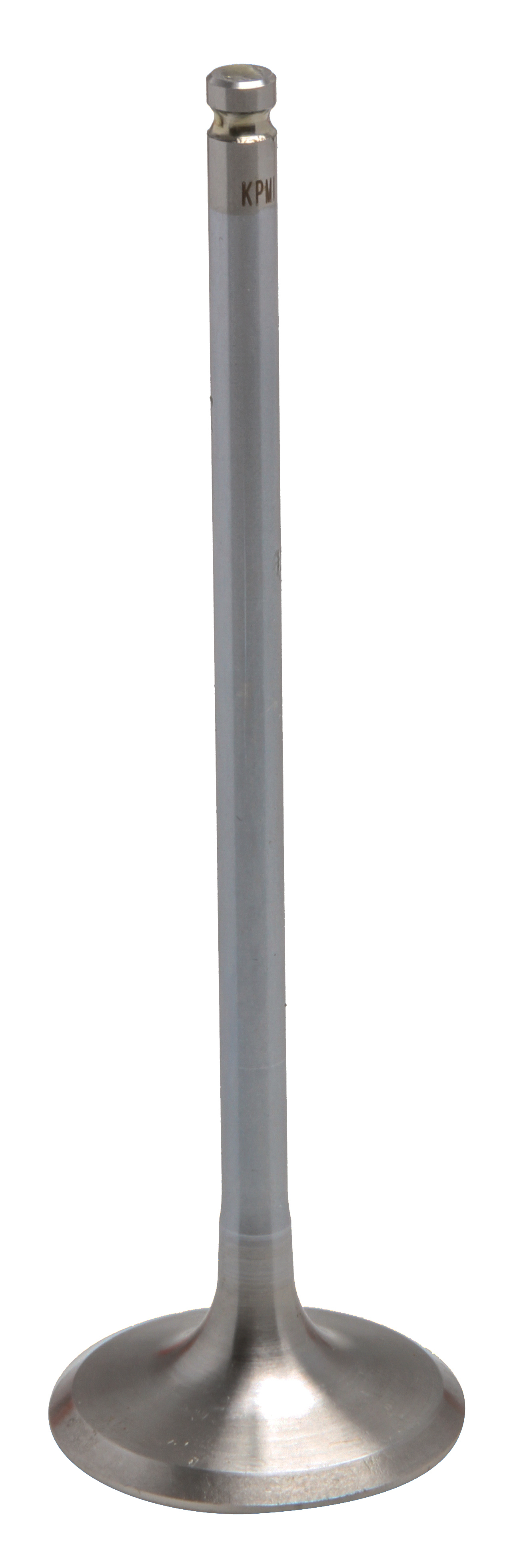 Exhaust Valve