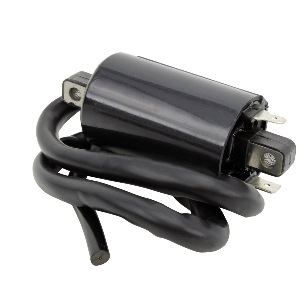 External Ignition Coils