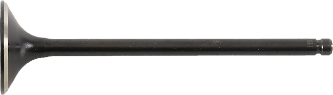 Exhaust Valve