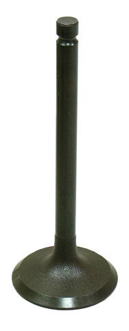 Intake Valve