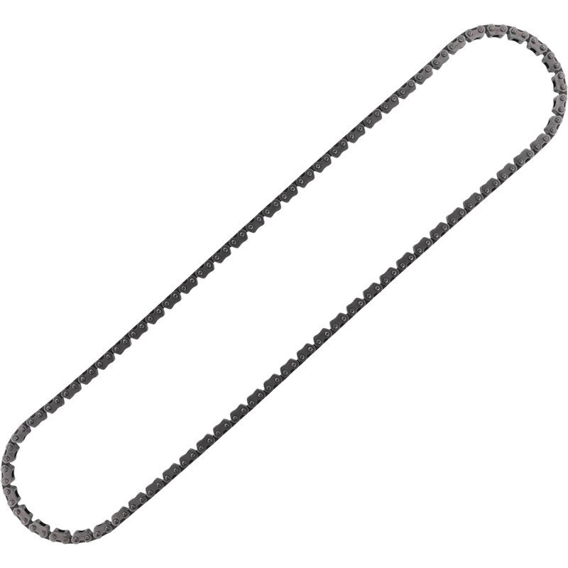 Cam Chain