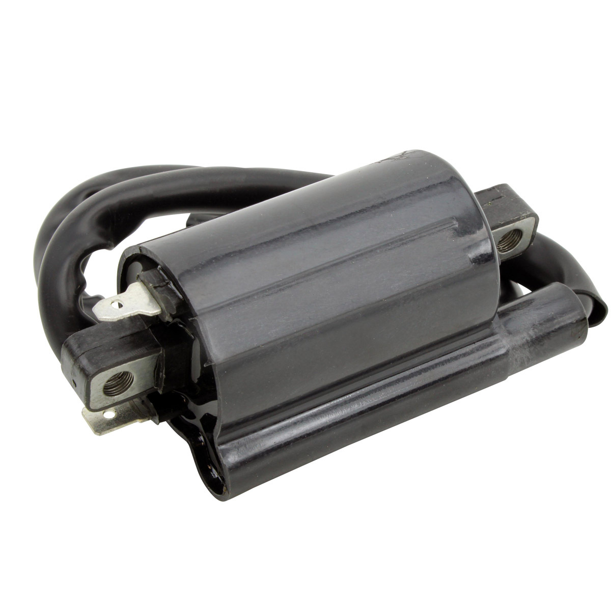 External Ignition Coils