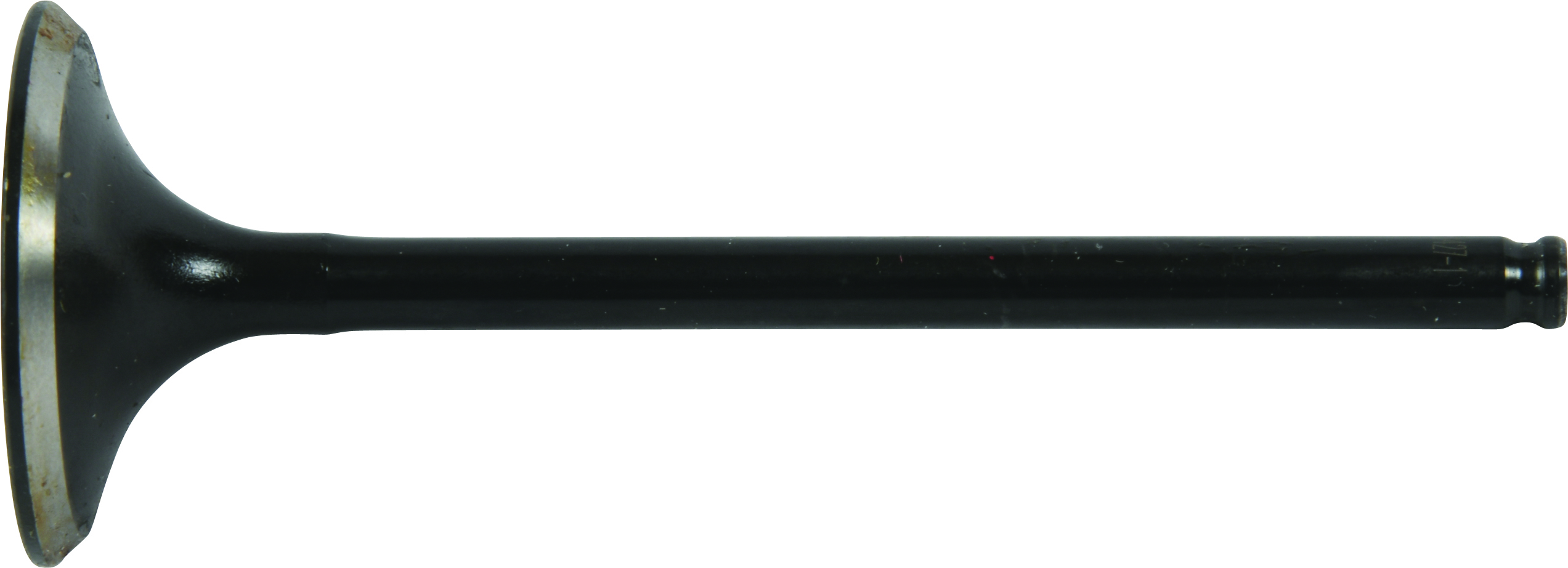 Exhaust Valve