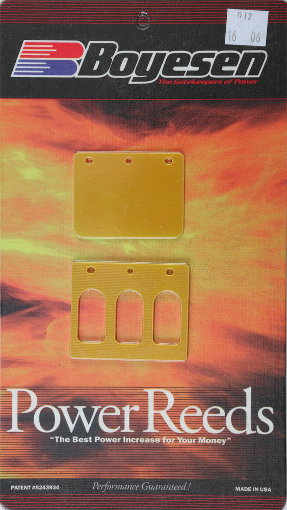 BOYESEN Power Reeds - View 1