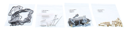 Carburetor Rebuild Kit