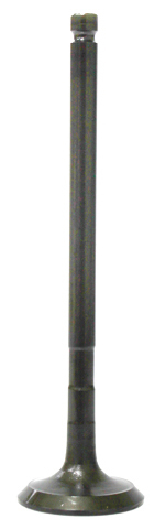 Exhaust Valve