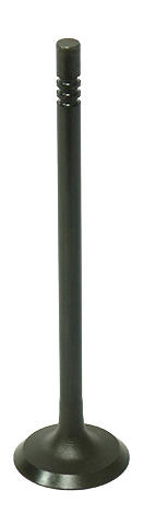 Exhaust Valve