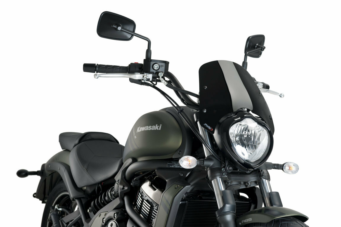 Naked New Gen Windscreen