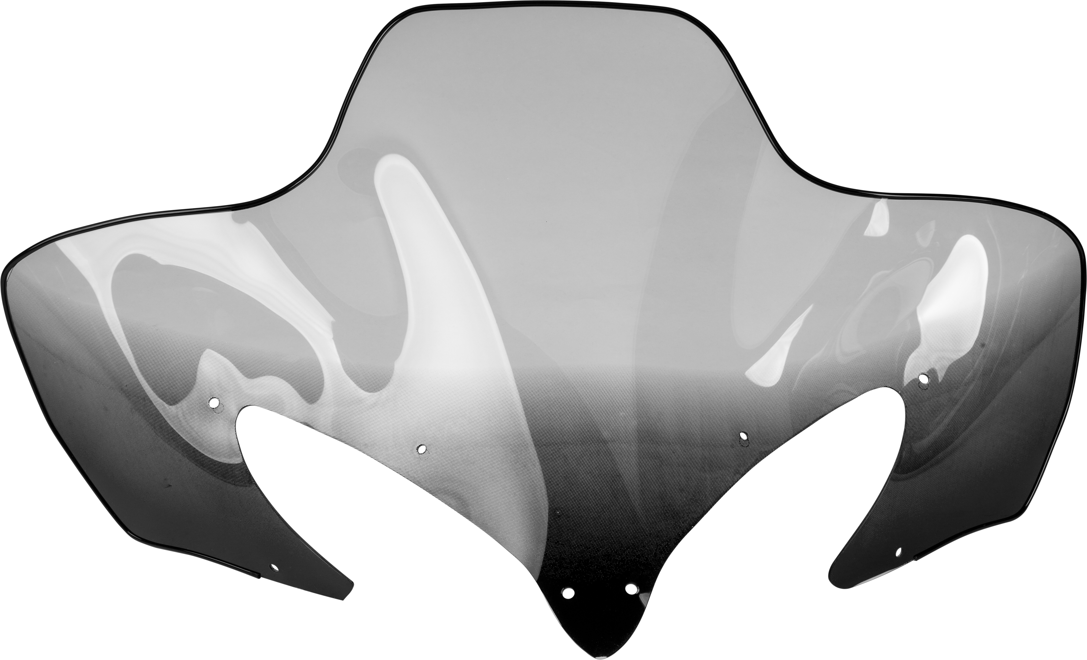 Windshield
