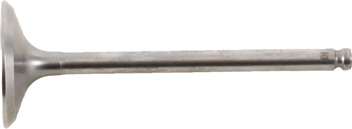 Intake Valve