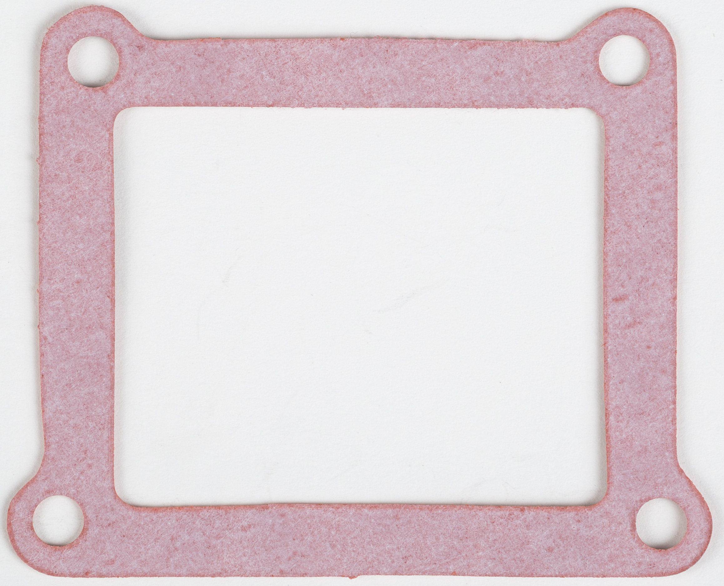 Rad Valve Gasket