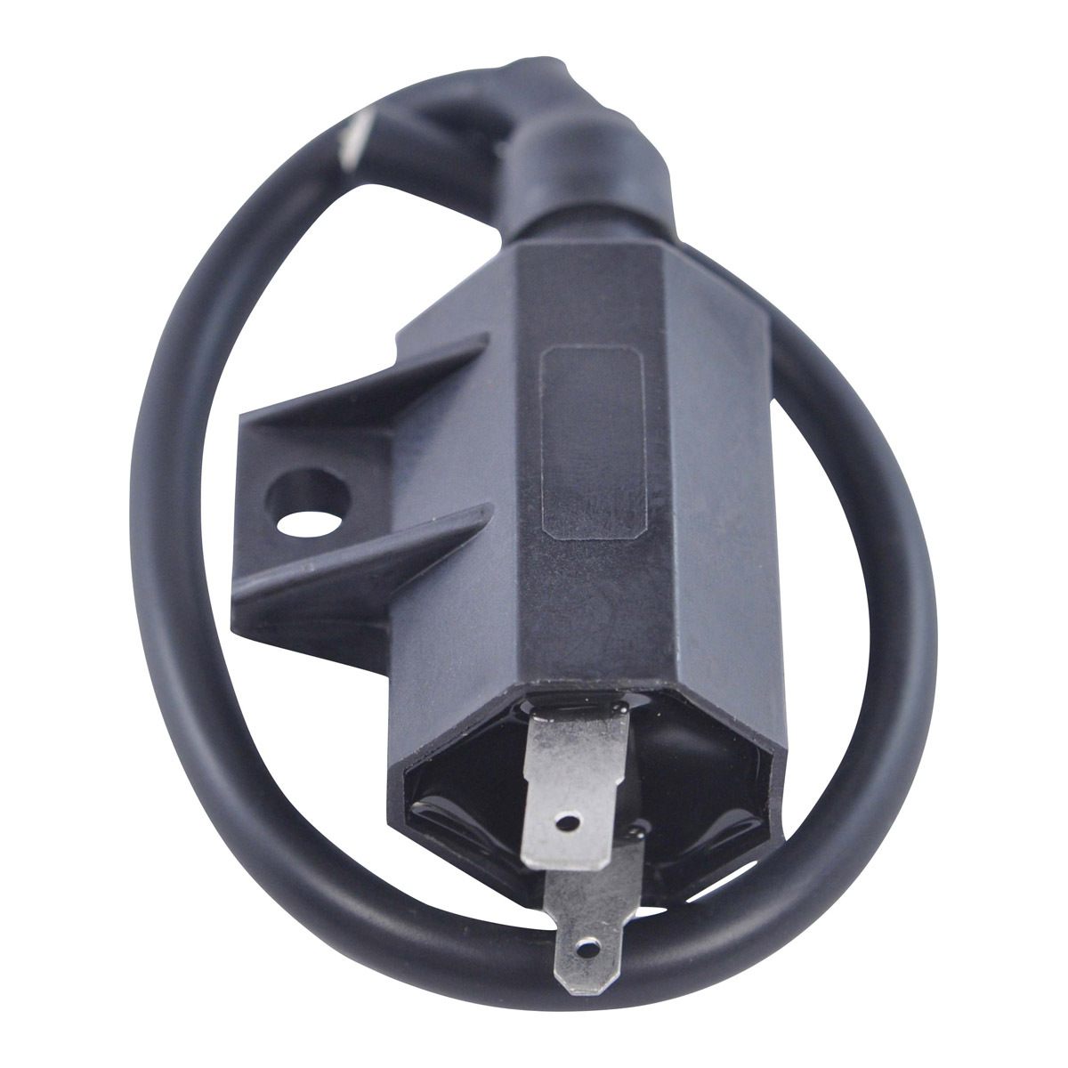 External Ignition Coils