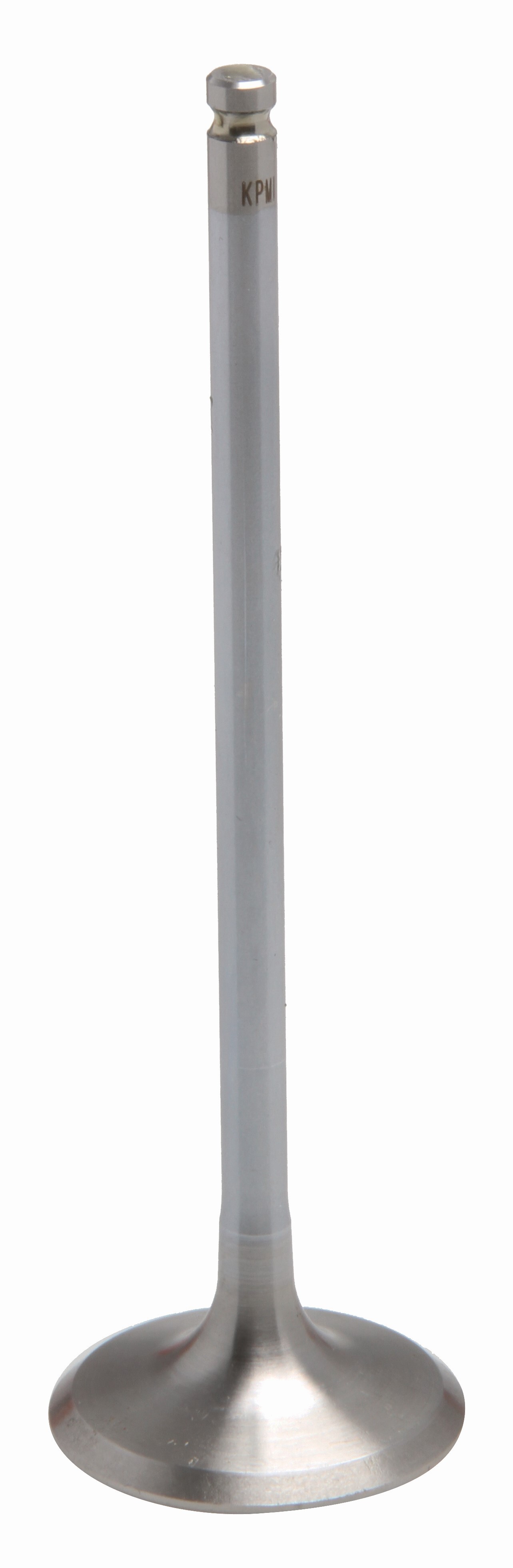 Exhaust Valve
